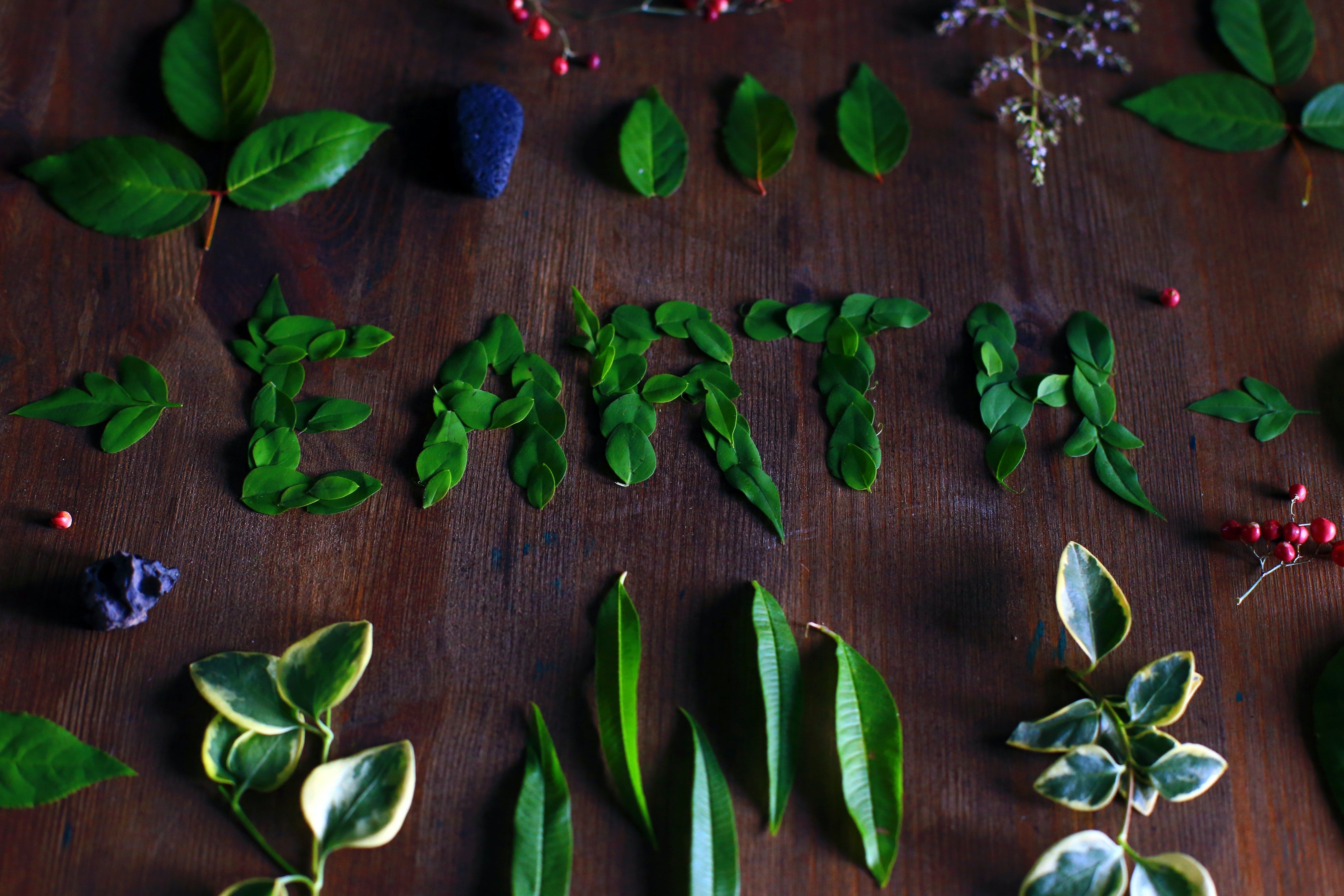 Earth Day 101: What This Event Is and Why We Celebrate It