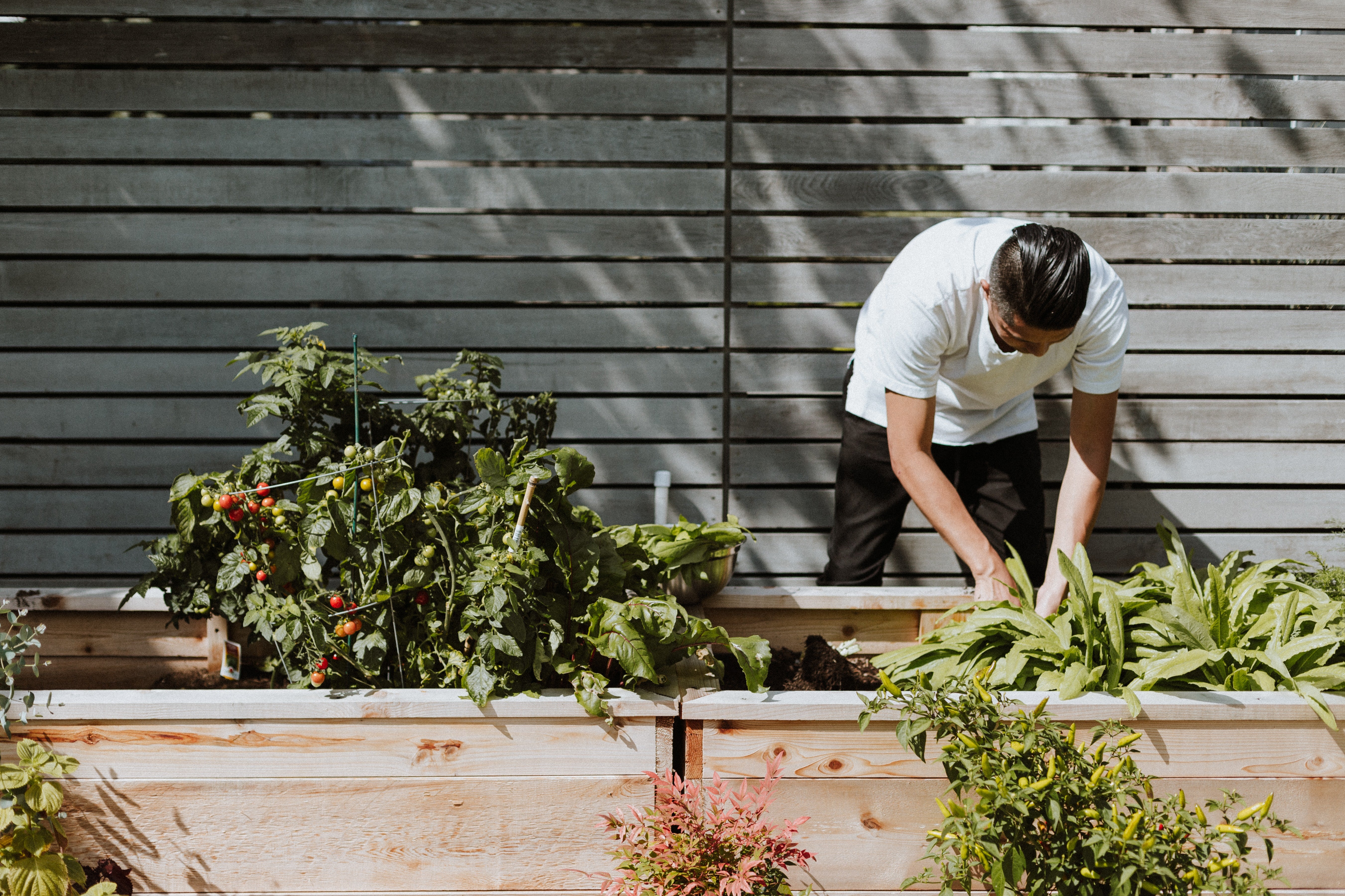 The Benefits of Homegrown Produce: From Improving Health to Preserving the Environment