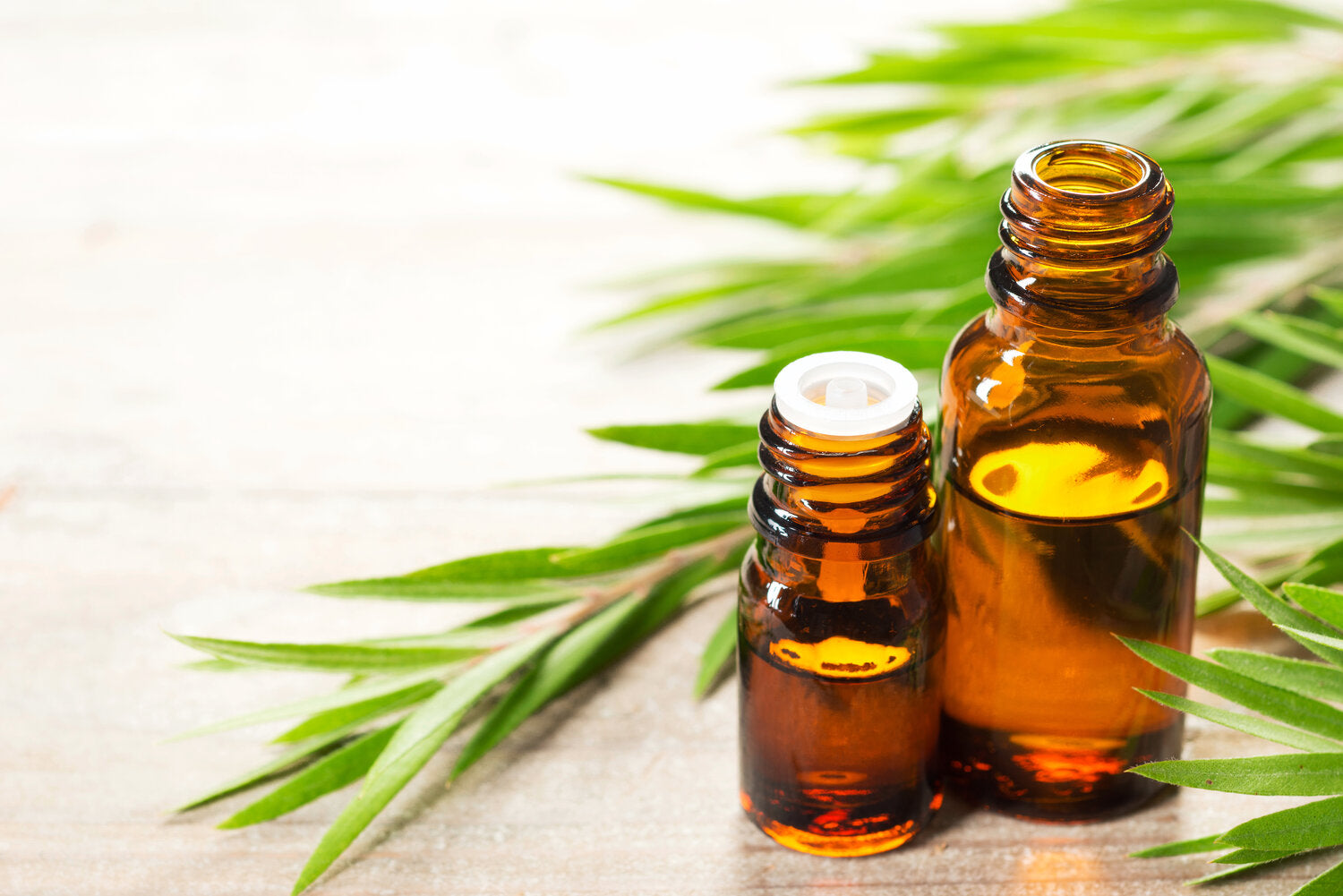 The Wonders of Tea Tree Oil: Health Benefits, What It's Used For, and Acne Treatment