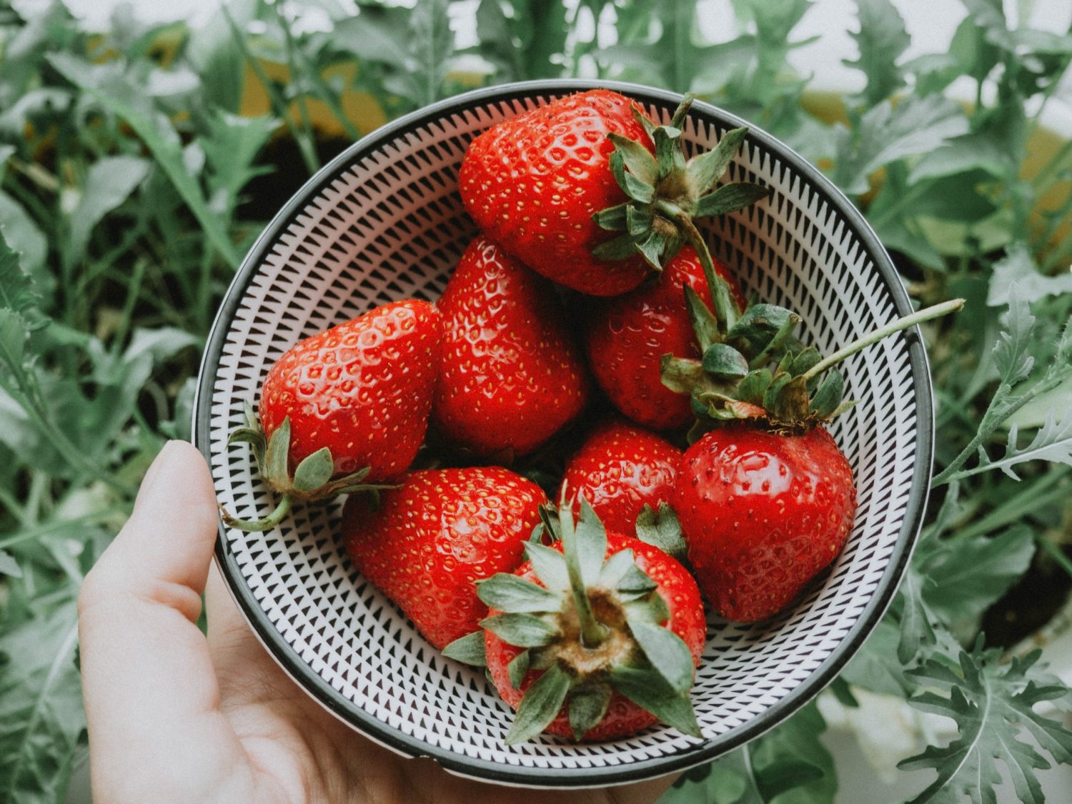 The Benefits of Strawberries for Skin and Overall Health – My Organic Zone