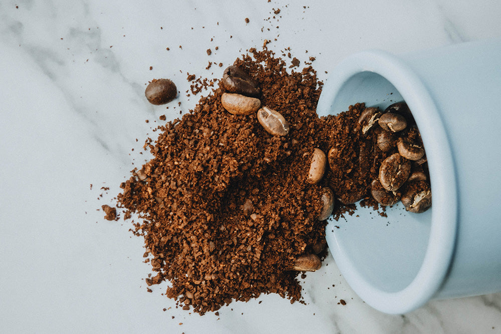 Why You Should Incorporate Coffee into Your Skincare Routine: Just Brew It